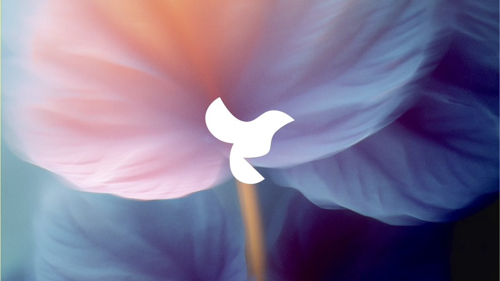 My recent logos with MidJourney backgrounds https://t.co/B8Xg...